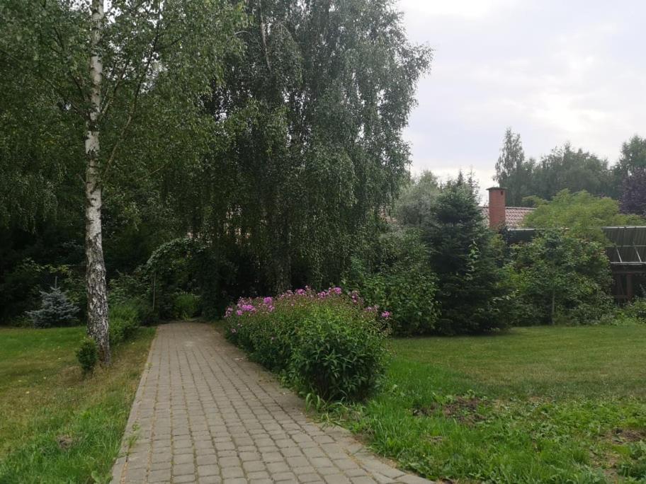 Apartament Brzozowy Zaułek Bydlino Zewnętrze zdjęcie